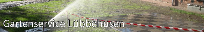 rasenpflege
