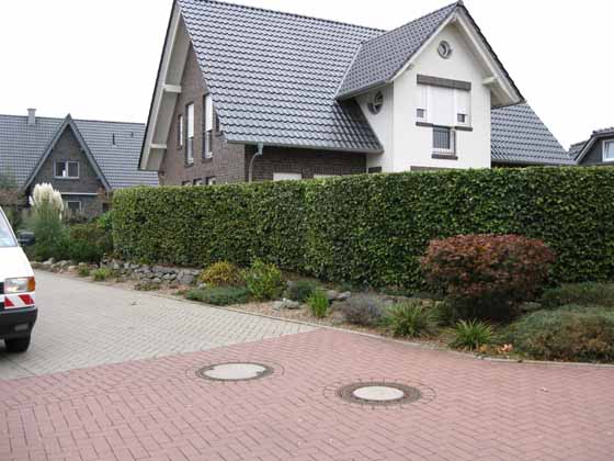 heckenformschnitt1