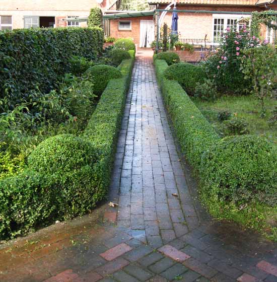 heckenformschnitt4